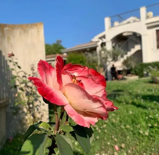 A 2 Passi Dal Mare * Àrbatax